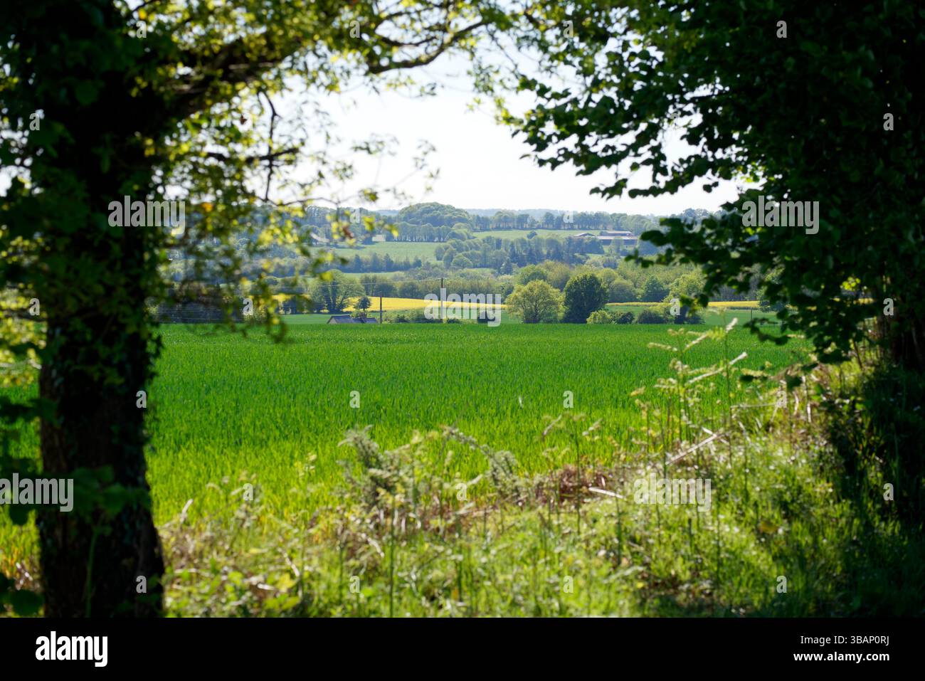 Campagna primaverile, a nord di Mayenne (Pays de la Loire, Francia). Foto Stock