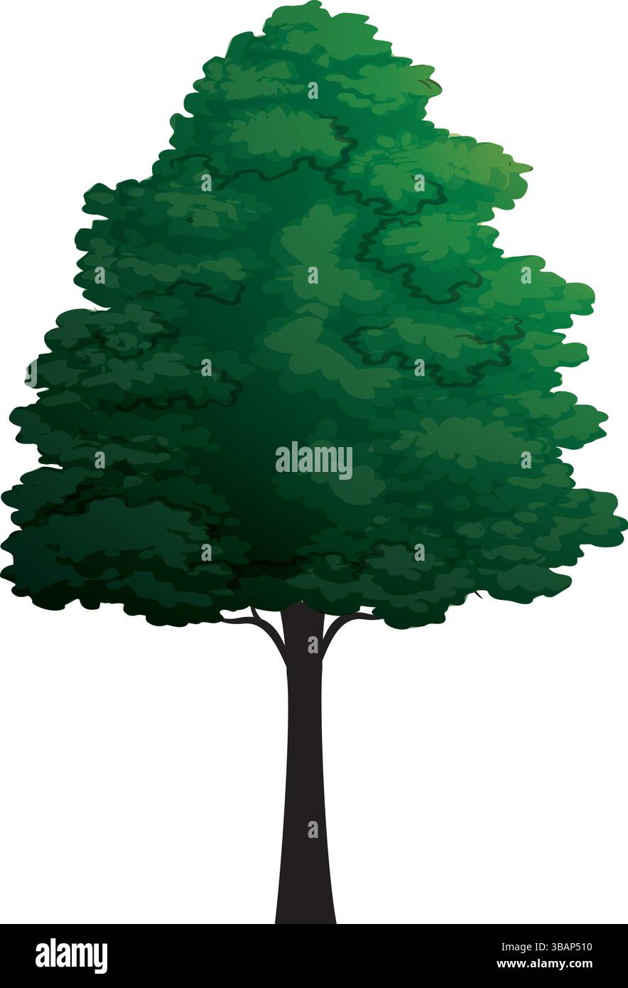Albero vettoriale verde su sfondo bianco Illustrazione Vettoriale