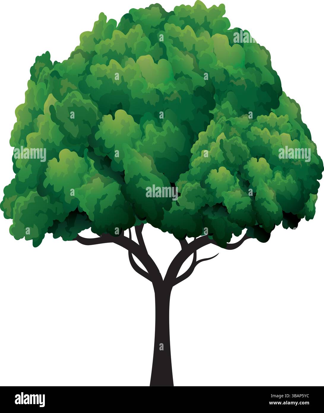 Albero vettoriale verde con sfondo. Illustrazione Vettoriale