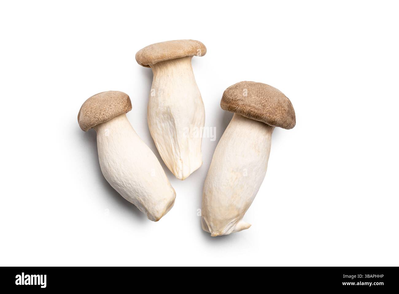 Funghi king Oyster isolati su sfondo bianco. Cibo vegetariano vegano sano, funghi Eryngii o tromba. Foto Stock