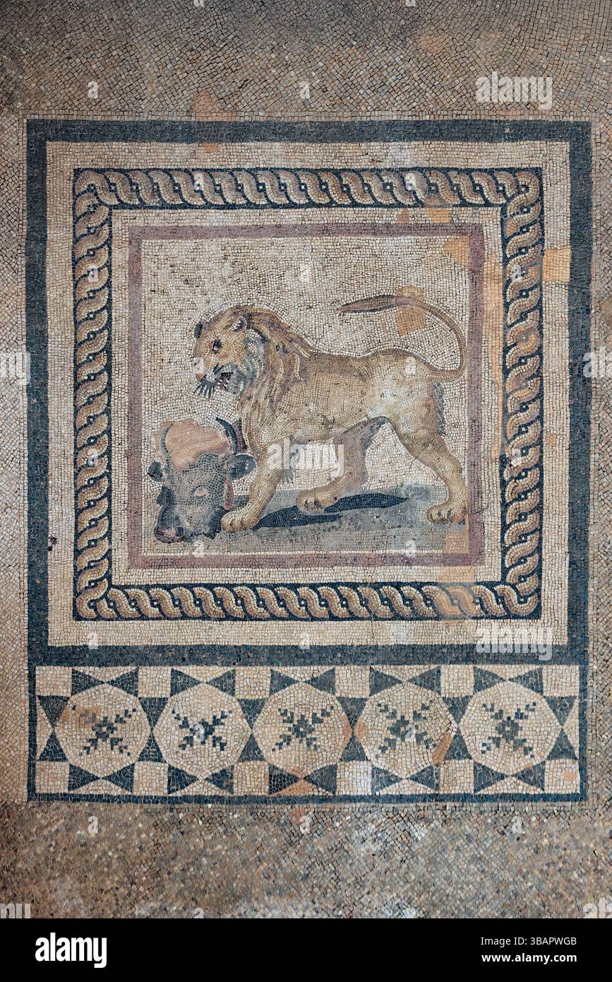 Case a terrazza, Efeso - mosaico di un leone in un confine geometrico, simbolo di potere e protezione nelle case romane. Foto Stock