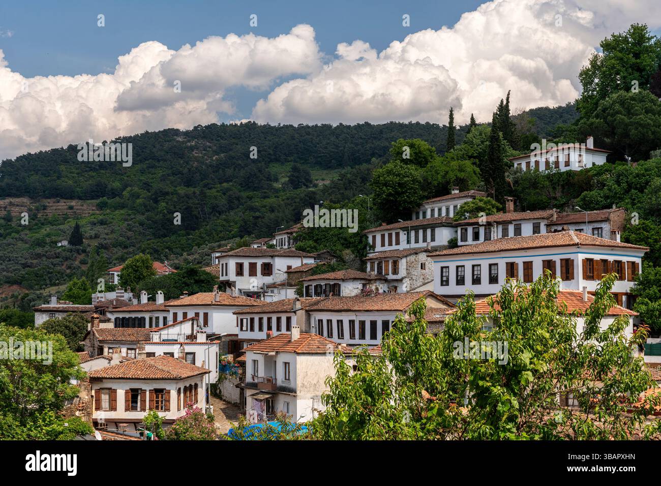 A Sirince, le tradizionali case bianche ottomane con tetti rossi scendono lungo una collina verde, riflettendo il pittoresco e storico villaggio turco c Foto Stock