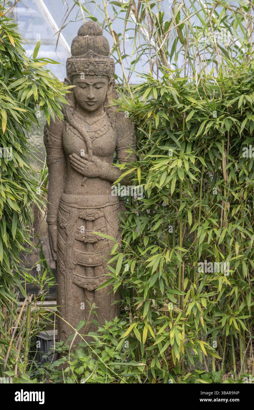 Figura di Dewi Sri, è considerata un'importante dea della fertilità in Indonesia, specialmente a Bali e Giava, Giardino Botanico, Erlangen, fra Medio Foto Stock