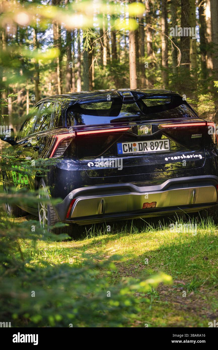 Vista posteriore di un'auto nella foresta con luce che cade tra gli alberi, Deer e- Carsharing, Calw, Foresta Nera, Germania, Europa Foto Stock