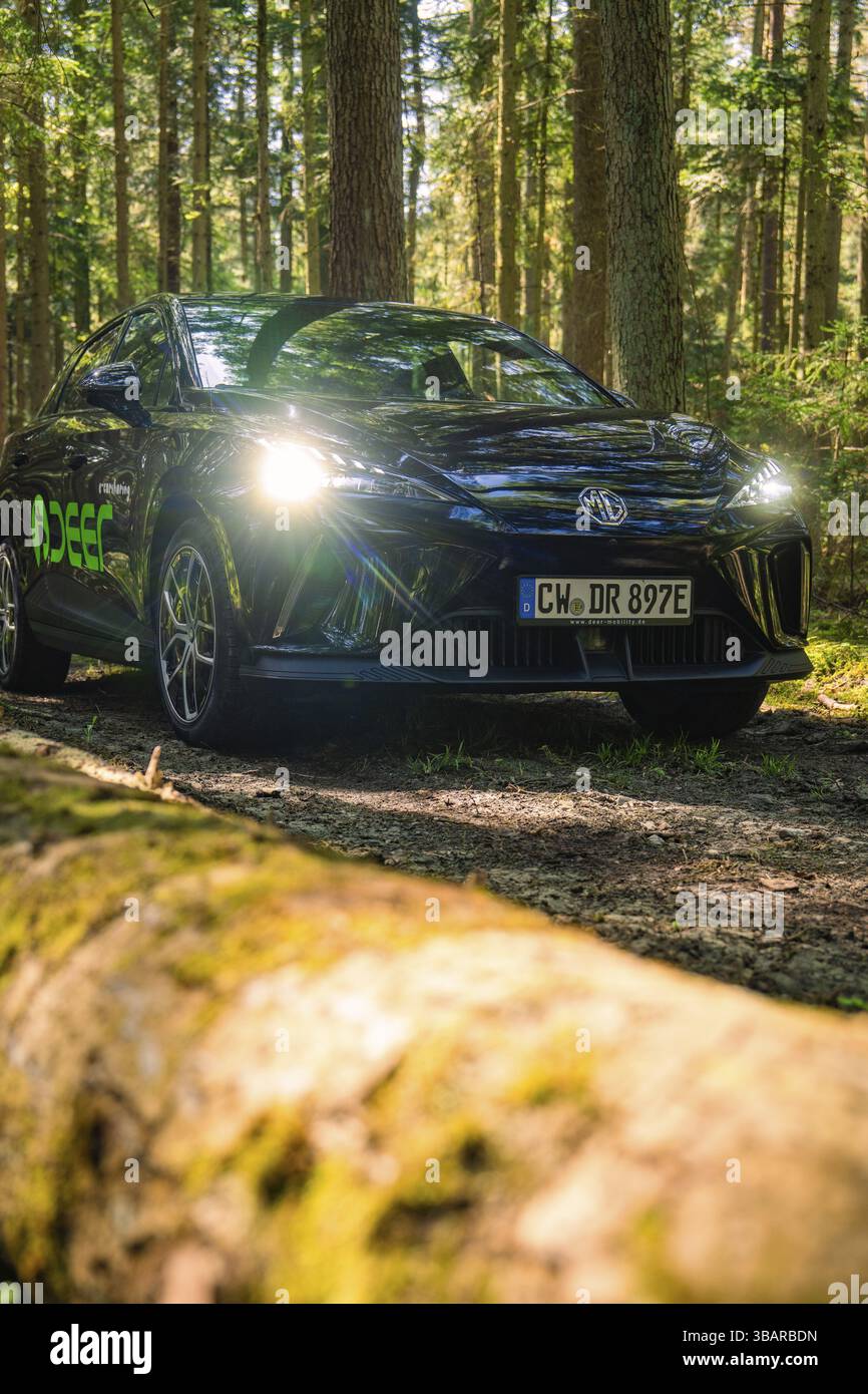 Auto nera con fari luminosi su un sentiero forestale, Deer e- Carsharing, Calw, Foresta Nera, Germania, Europa Foto Stock