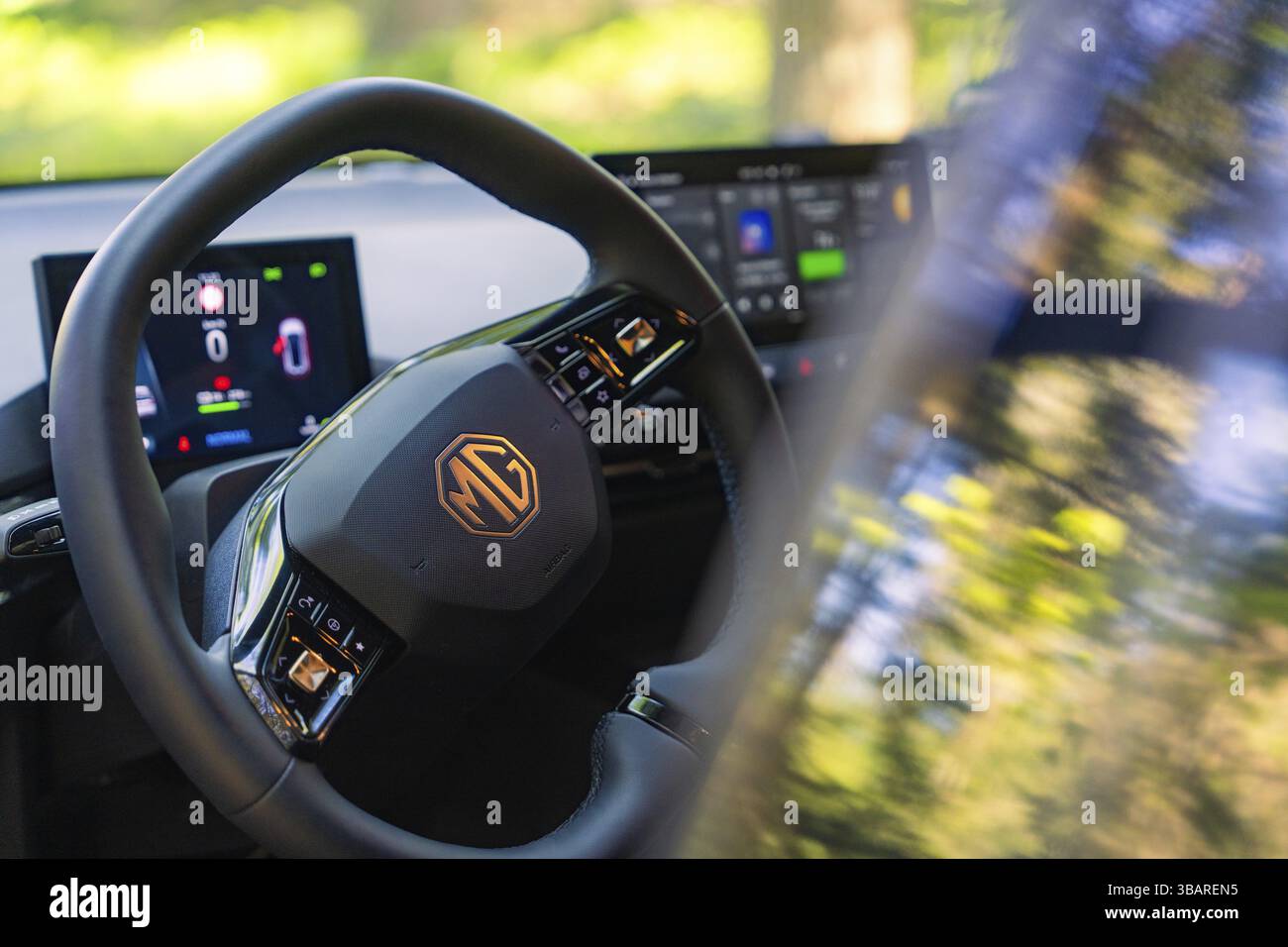 Vista del volante di un'auto moderna con display digitale e dintorni verdi, Deer e- Carsharing, Calw, Foresta Nera, Germania, Europa Foto Stock