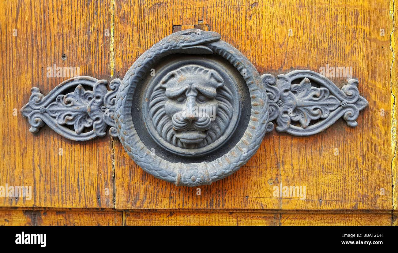 Porte in legno vintage con testa di leone decorativa e anello di serpente, Troyes, Francia Foto Stock