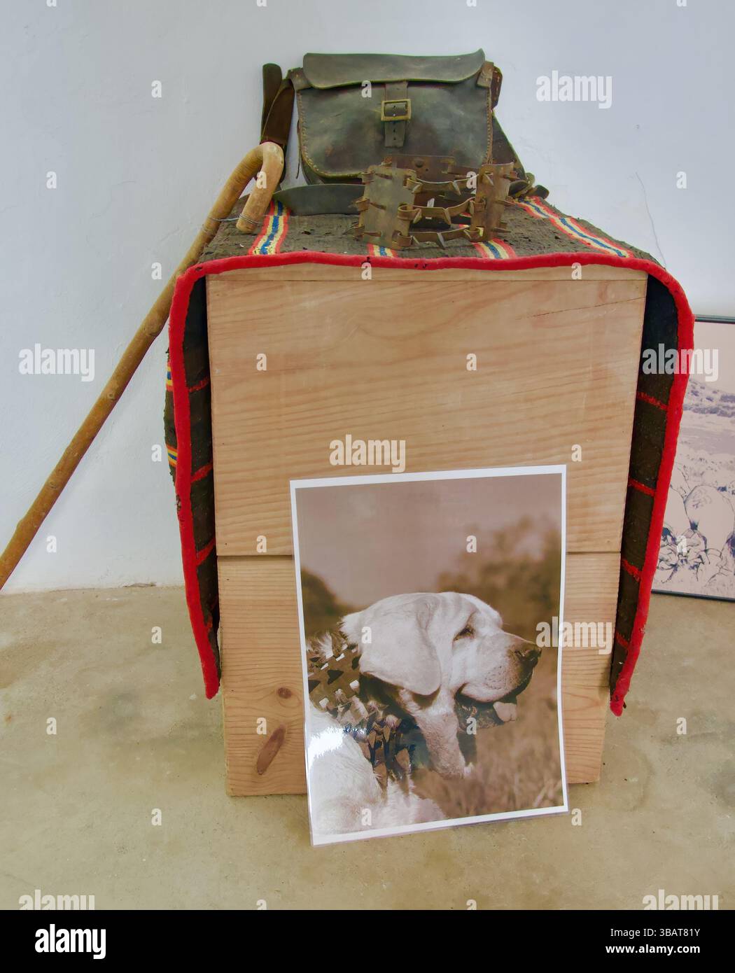 Mostre nel Museo del formaggio in una casa che espone il processo per la realizzazione della famosa torta del Casar a Casar de Caceres Extremadura Spagna Europa Foto Stock