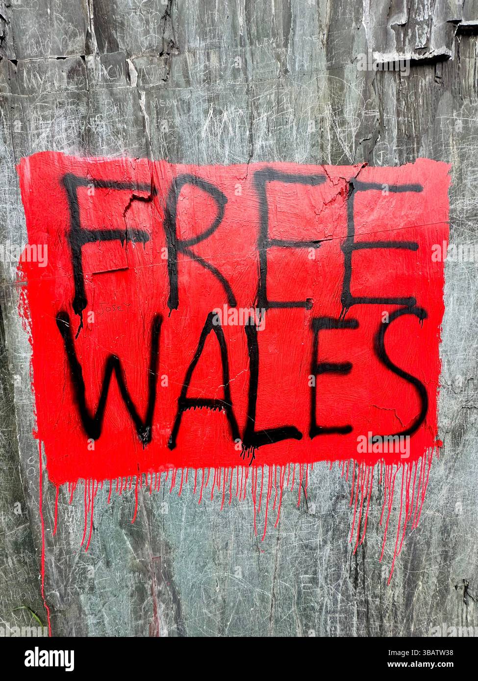 Primo piano del muro di ardesia con rettangolo dipinto di rosso e le parole graffiti "GALLES LIBERO", alla cava Dinorwic a Llanberis, Galles del Nord. 5 maggio 2025. - Immagine stock catturata con smartphone