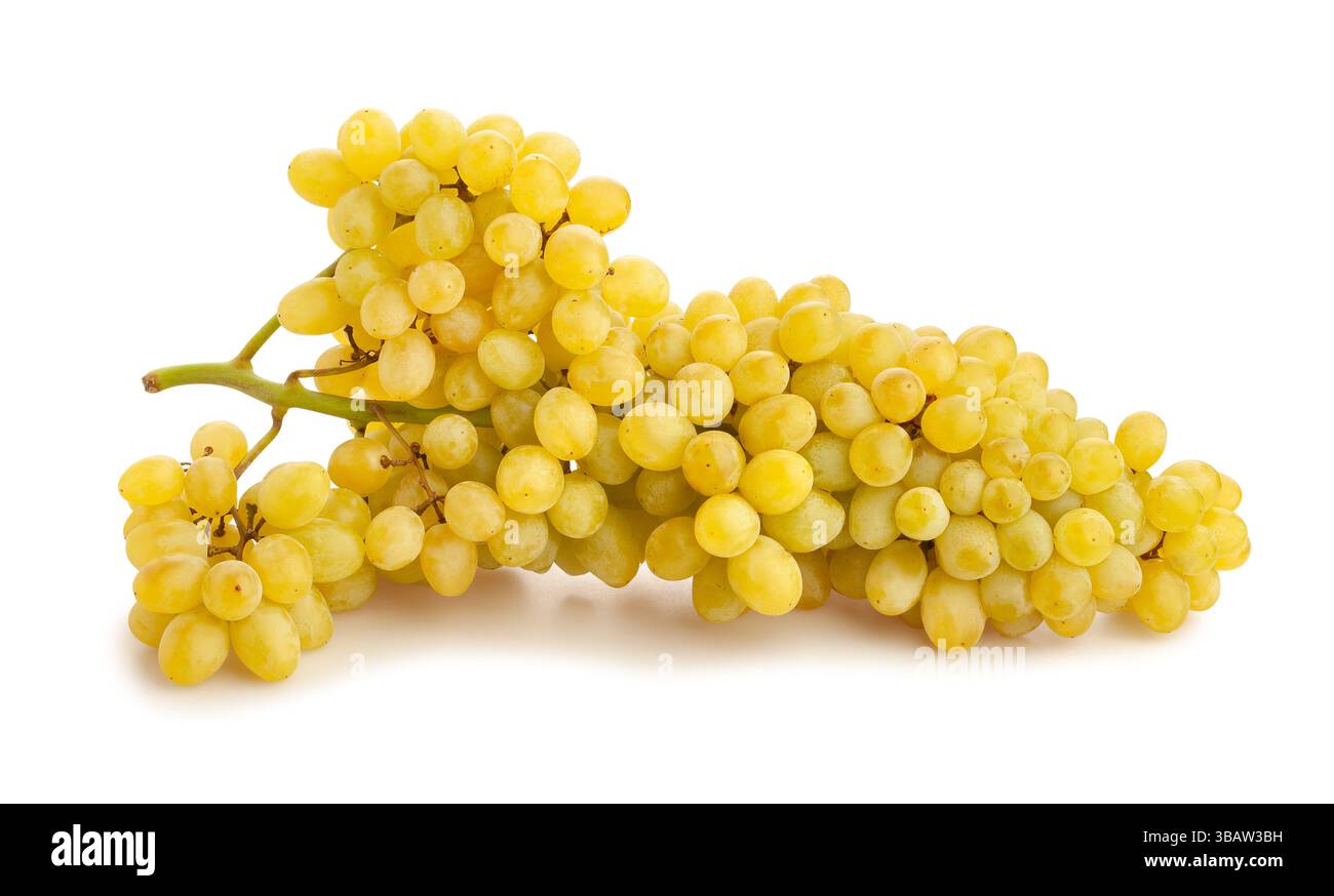percorso dell'uva sultana senza semi isolato sul bianco Foto Stock