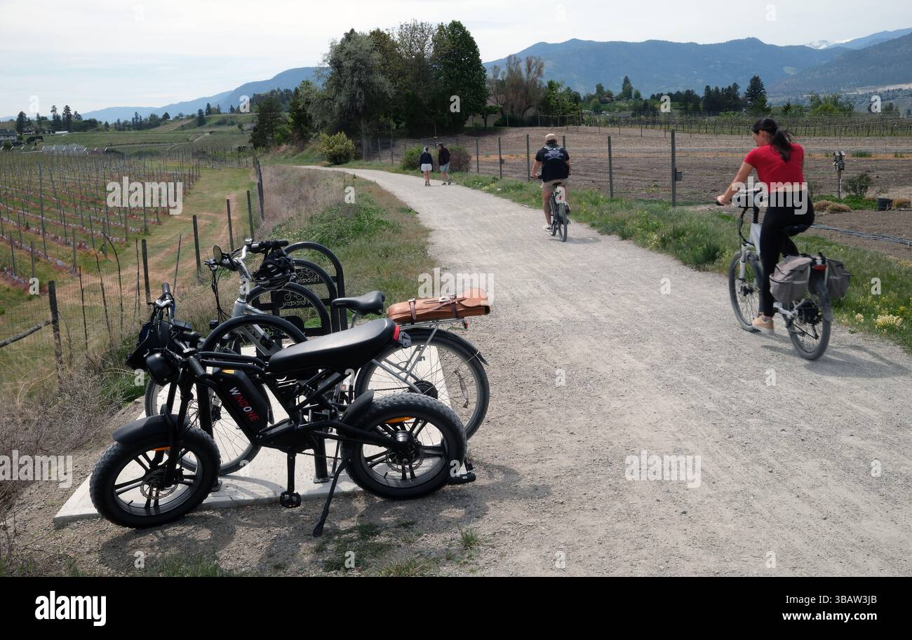 Ciclisti e pedoni utilizzano il Kettle Valley Rail Trail, una linea ferroviaria formner, a Penticton, nella Columbia Britannica, nella Okanagan Valley in Canada. Foto Stock