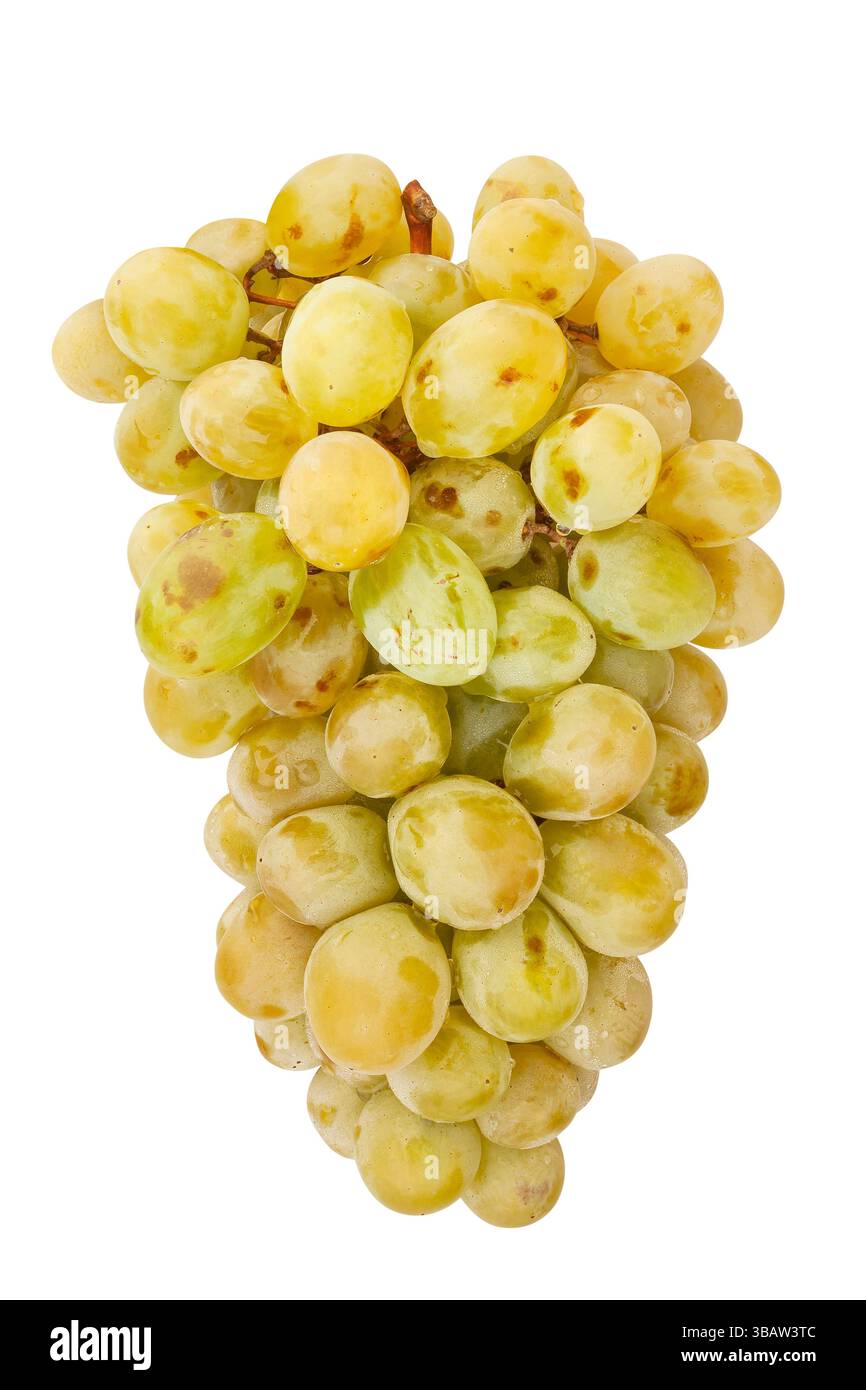 Uva bianca percorso isolato su bianco Foto Stock