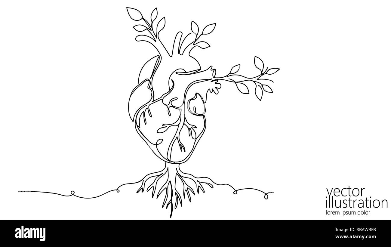 L'illustrazione del cuore cresce con le foglie dei rami. Cuore anatomico trasformato con albero di radici. Progetti legati alla natura del benessere sanitario. Disegni in linea Illustrazione Vettoriale