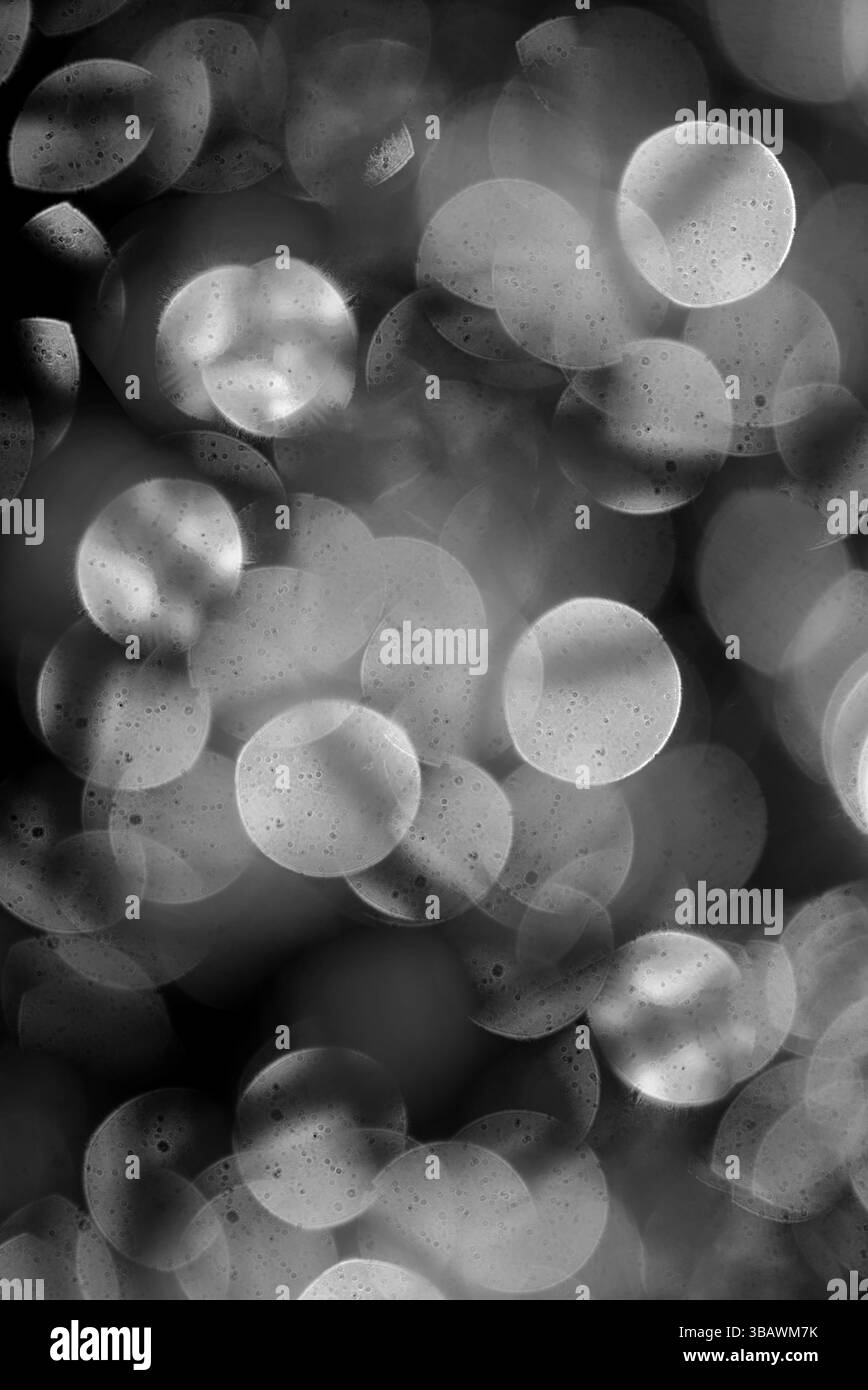 bolle luminose, composizione di sfondo astratta, sfondo con effetto bokeh sfocatura Foto Stock