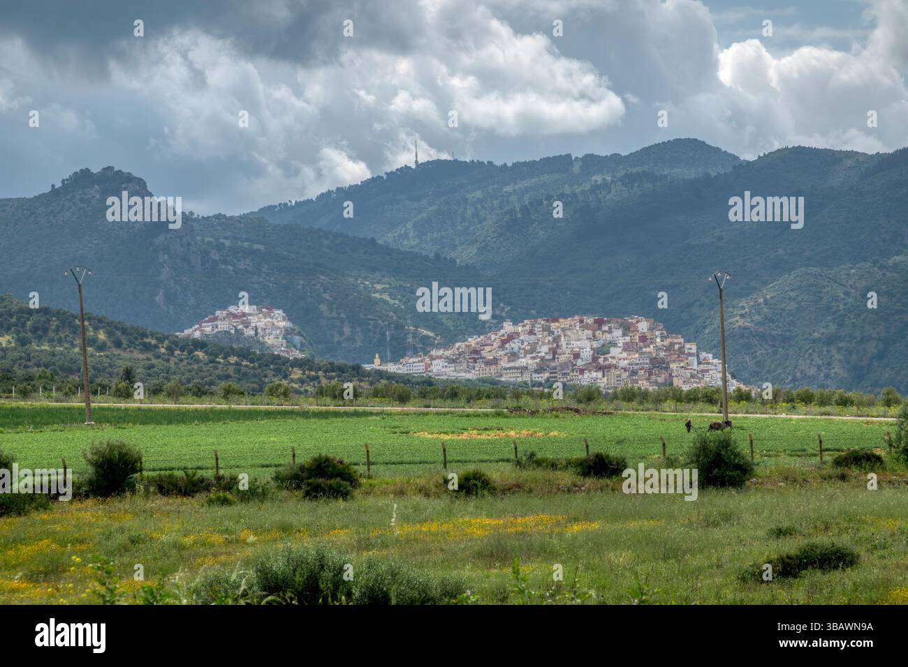 Moulay Idriss o Moulay Driss Zerhounis è una città nella regione di Fès-Meknès nel nord del Marocco, alla base del monte Zerhoun. Si trova vicino a Meknes Foto Stock