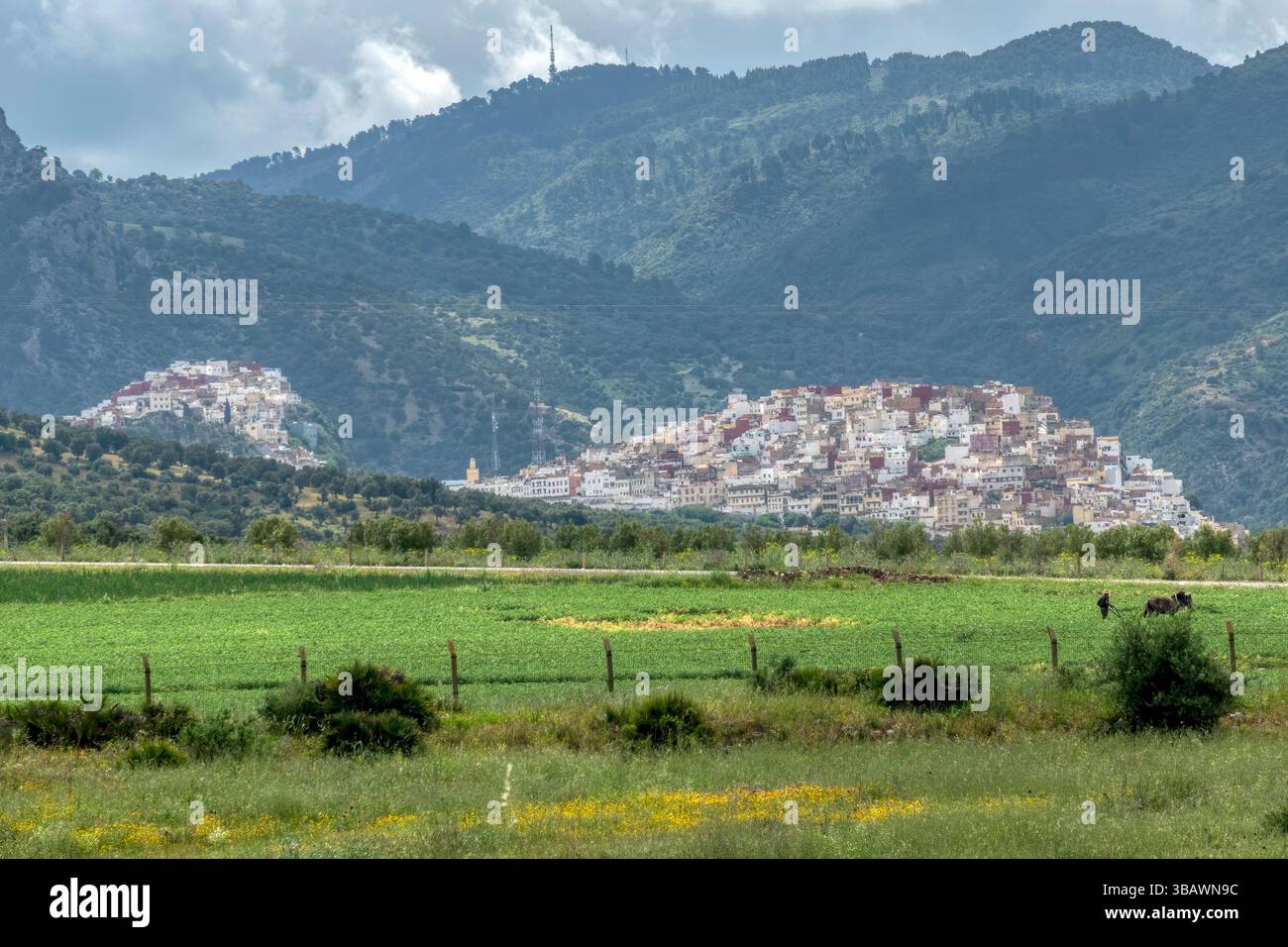 Moulay Idriss o Moulay Driss Zerhounis è una città nella regione di Fès-Meknès nel nord del Marocco, alla base del monte Zerhoun. Si trova vicino a Meknes Foto Stock