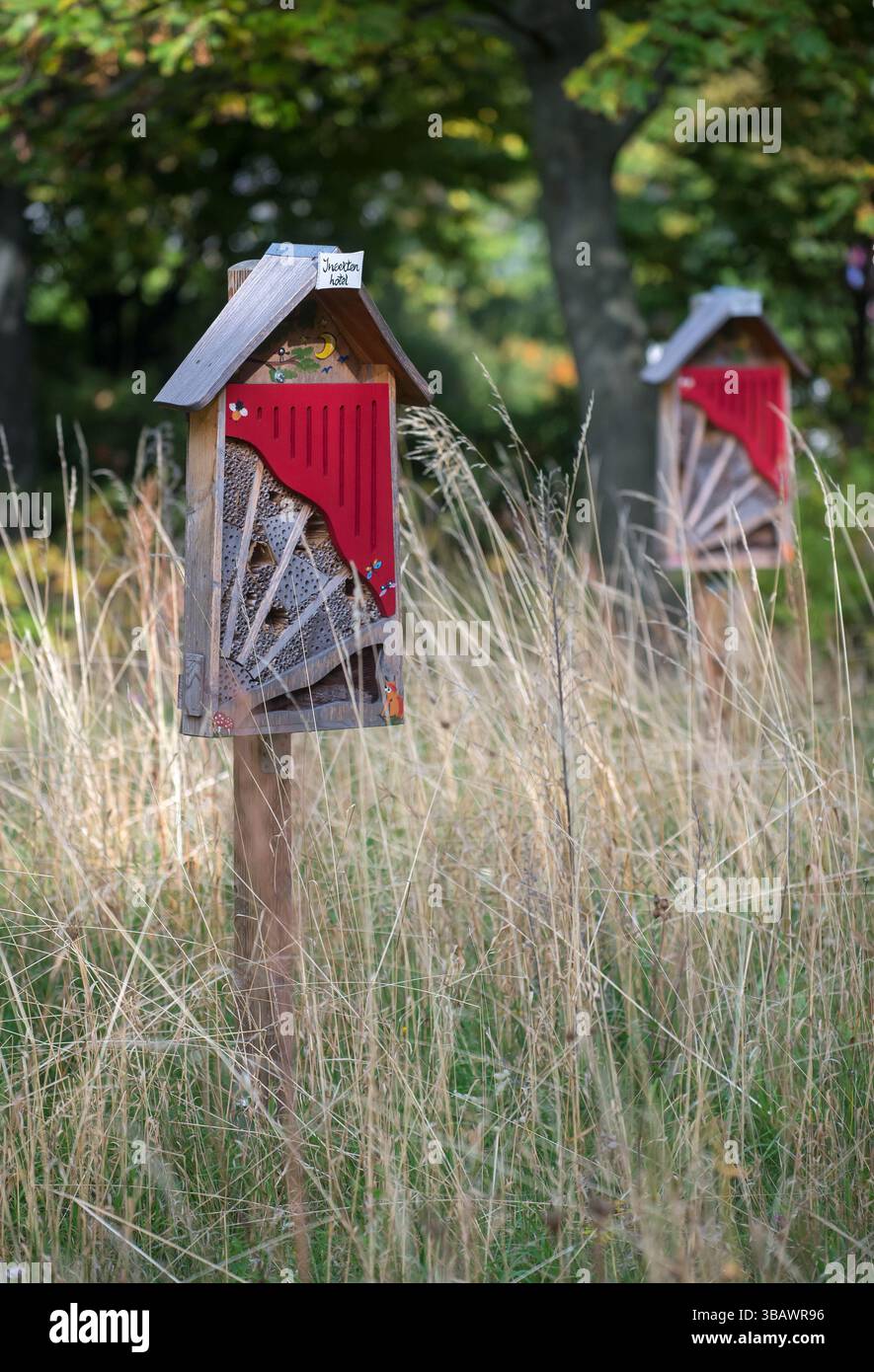 13.10.2022, Germania, Berlino, Berlino - Insect hotel sul prato di una tenuta residenziale. 0CE221013D003CAROEX.JPG [RILASCIO MODELLO: NO, RILASCIO PROPRIETÀ: NO ( Foto Stock