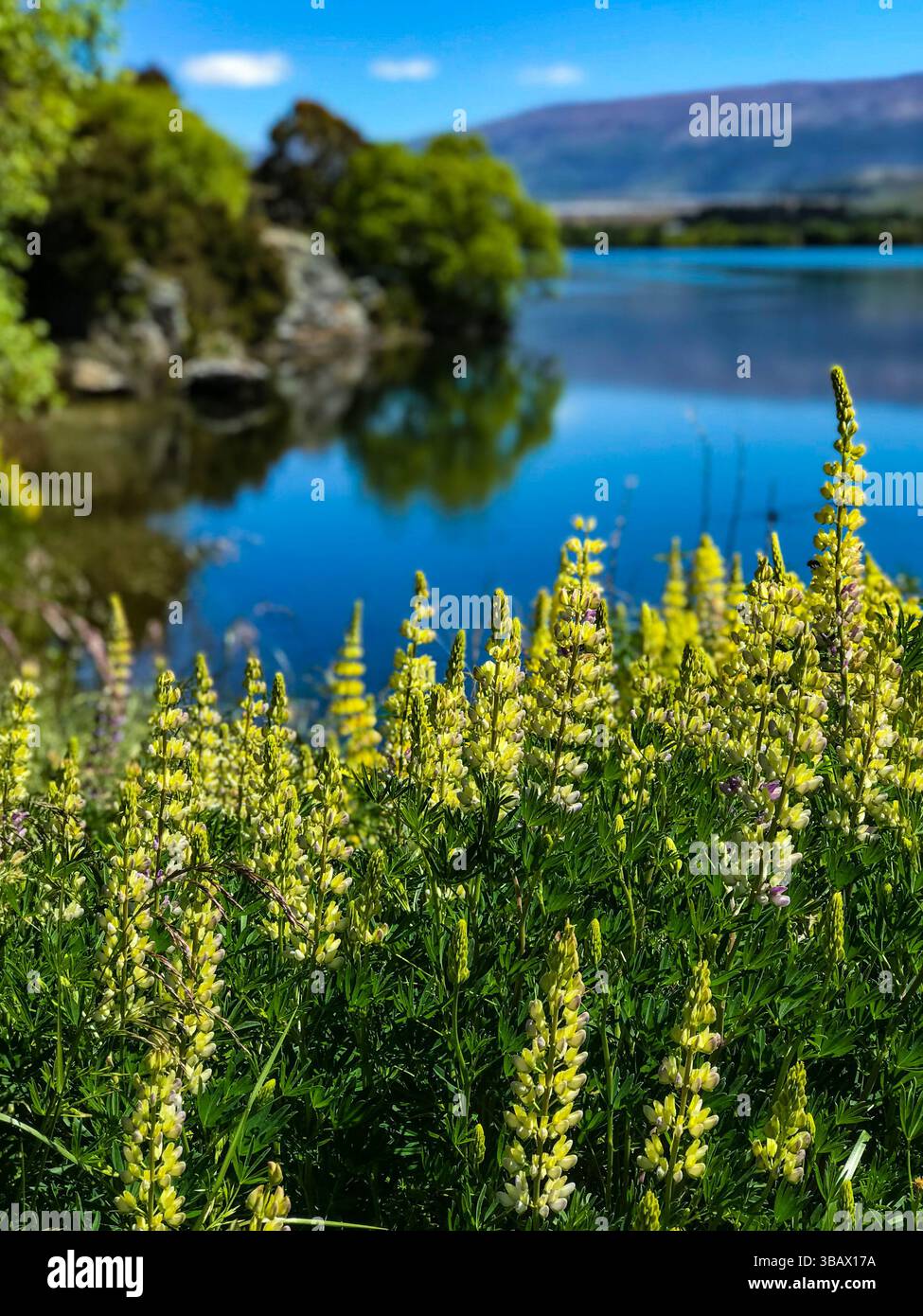 Clutha River, vicino a Bendigo, Queenstown, nuova Zelanda Foto Stock