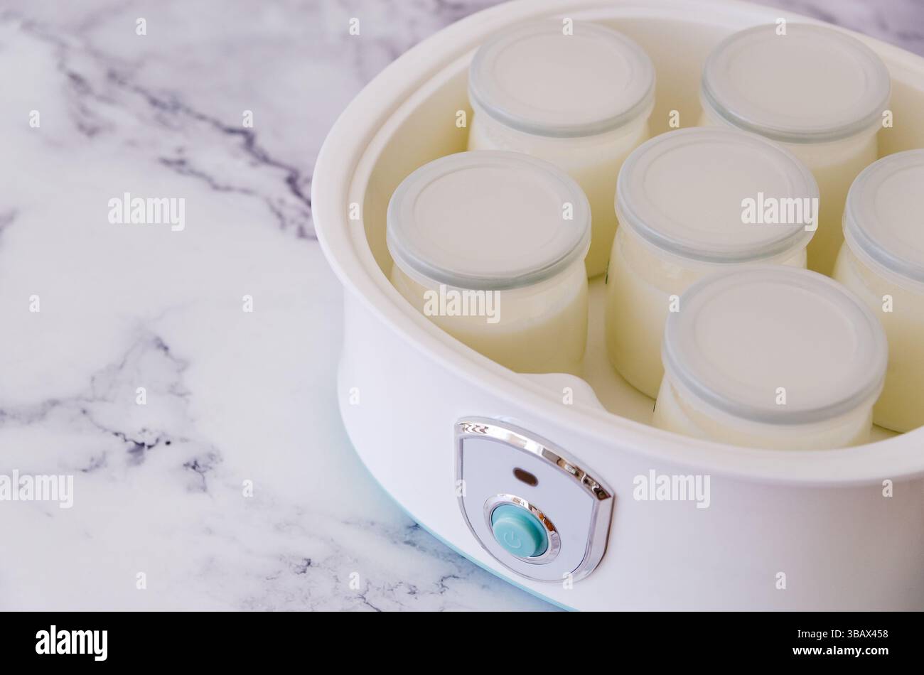 Vasetti di yogurt bianco in una macchina per lo yogurt. Foto Stock