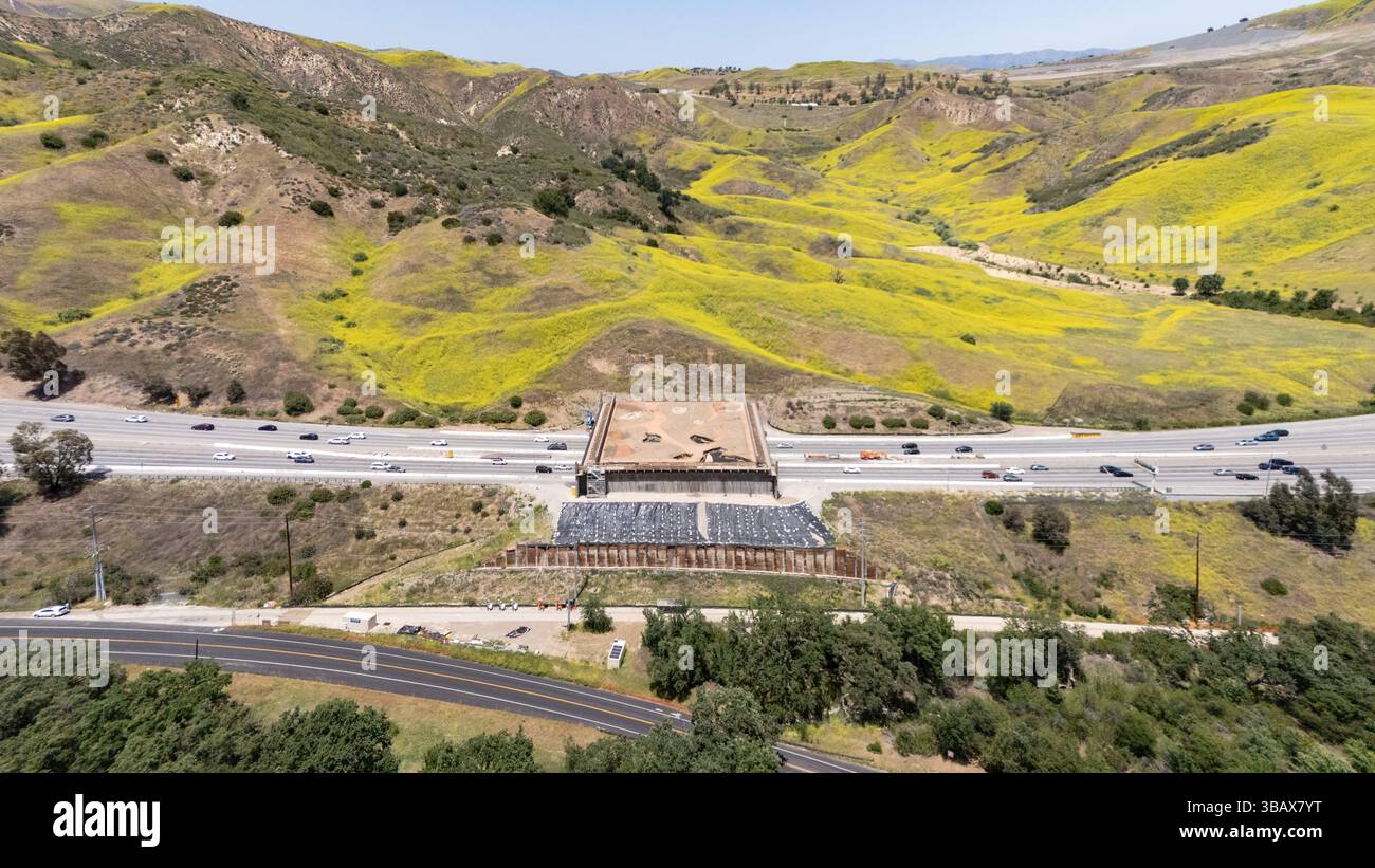 Fotografia aerea del Wallis Annenberg Wildlife Crossing ad Agoura Hills, California, l'11 maggio 2025. Il ponte attraversa la superstrada 101 e fornisce alla fauna selvatica un luogo da attraversare sull'autostrada e si prevede che la sua conclusione sia prevista per il 2026. Foto di Francis Specker Foto Stock