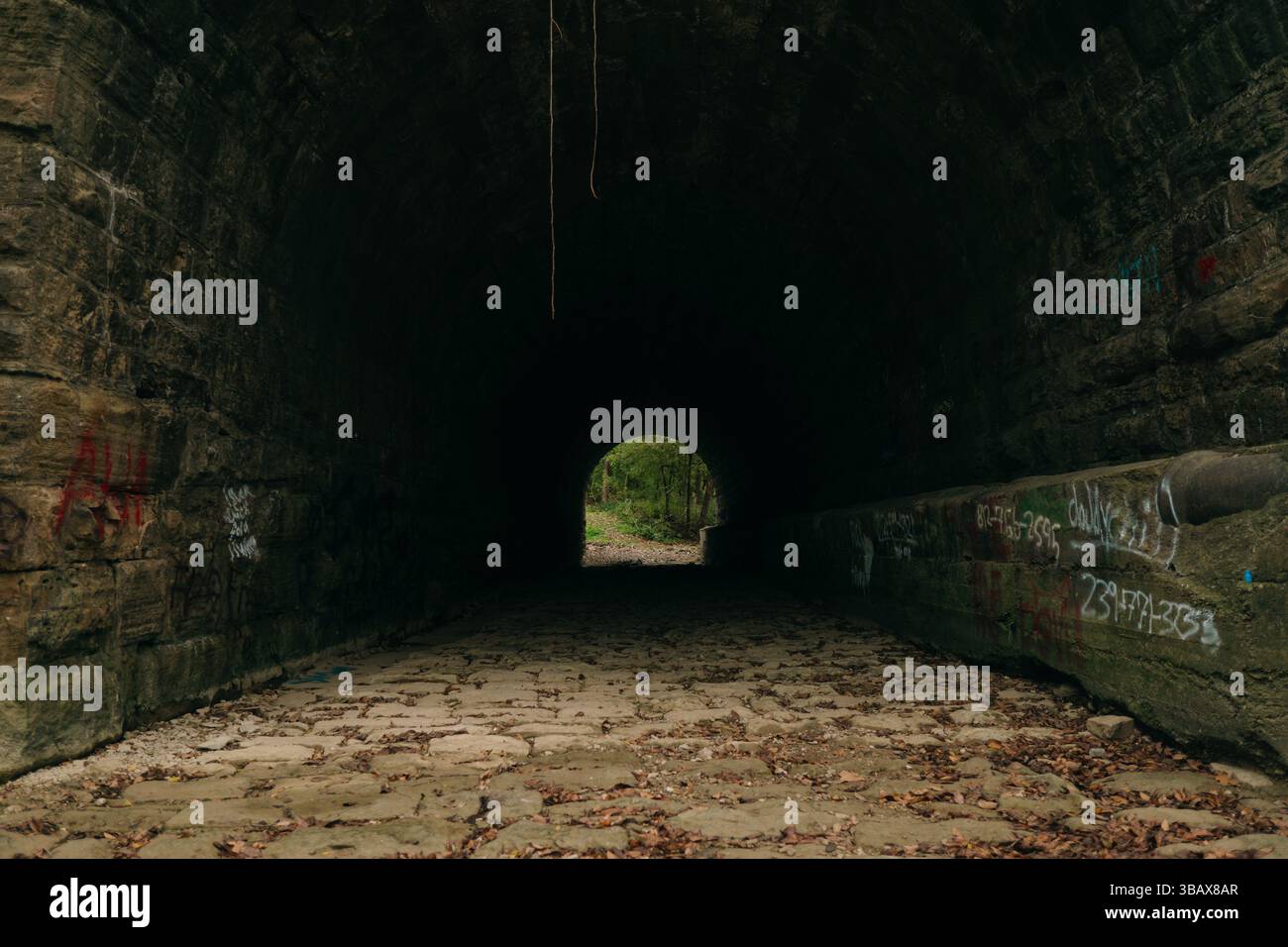 Un vecchio tunnel di pietra nascosto nell'oscurità, graffiti che ne segnano le pareti, con uno scorcio di foresta e luce che si infrangono all'estremità Foto Stock