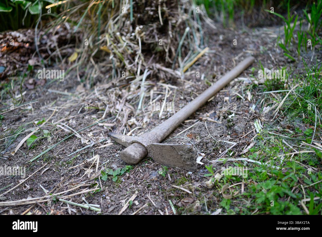 Vecchio piccone sporco sul pavimento della foresta Foto Stock