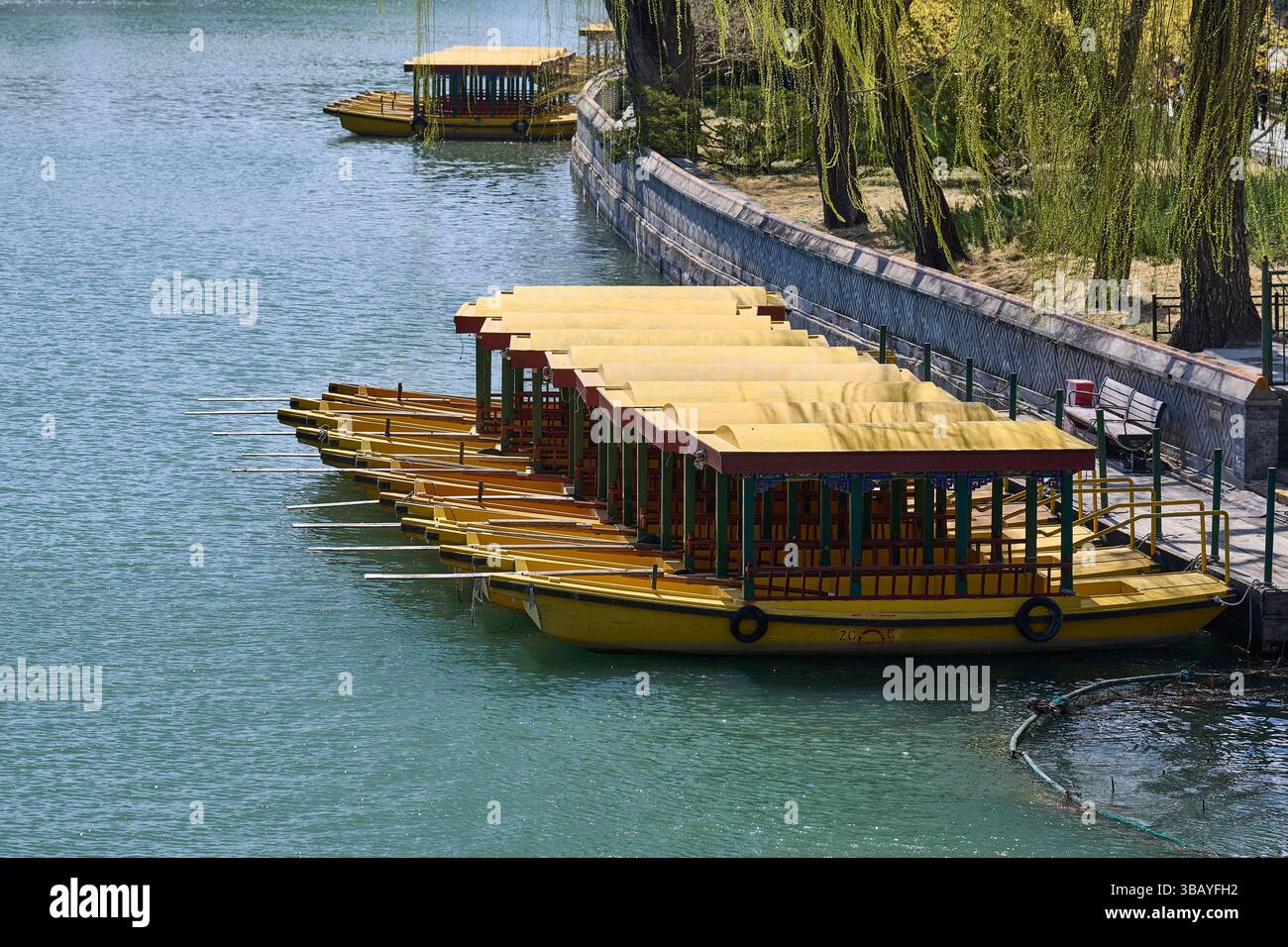 Tradizionali barche in legno dal tetto giallo ormeggiate lungo la riva di un tranquillo canale sotto salici Foto Stock