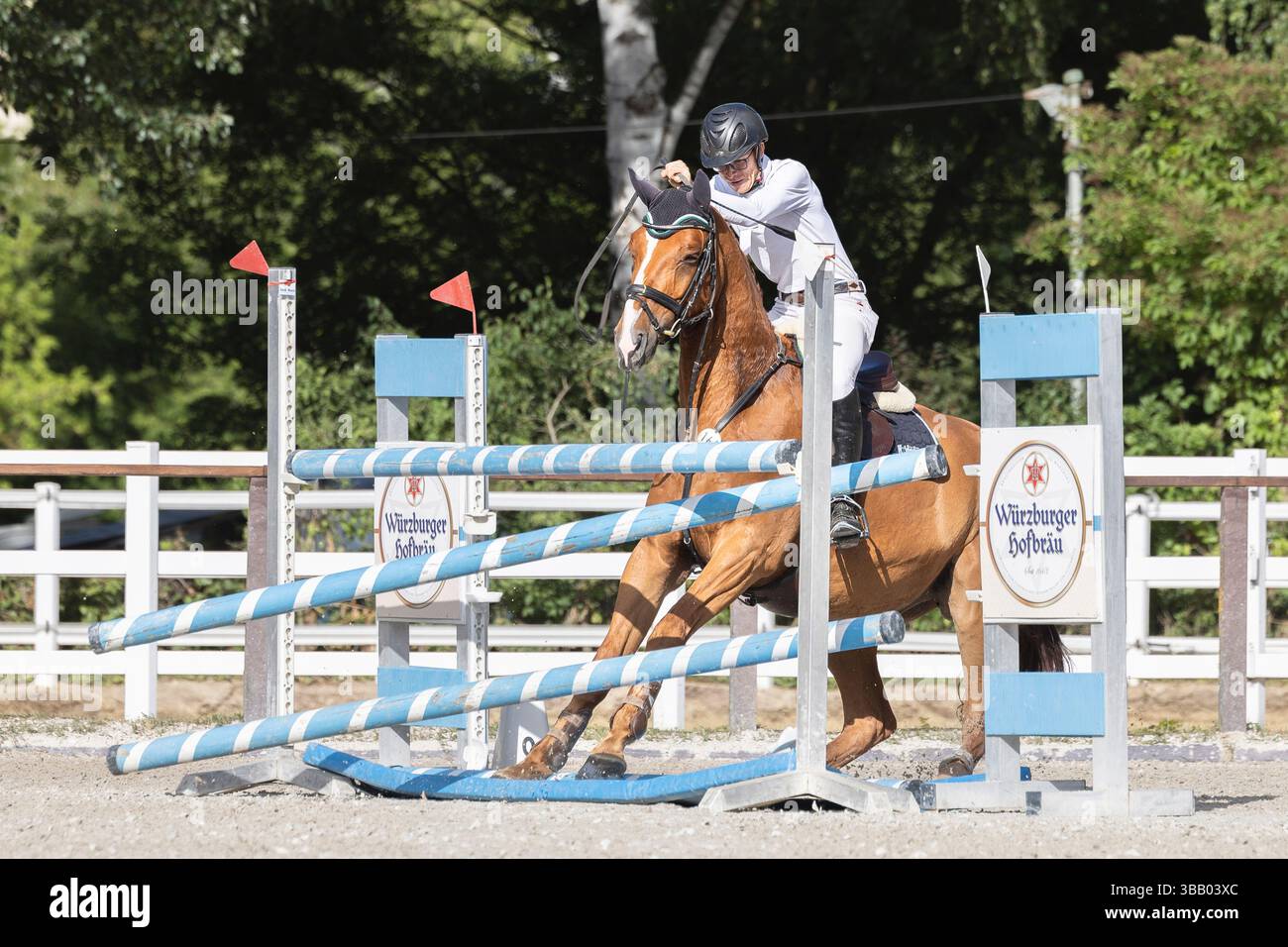 Un cavallo rifiuta un ostacolo in una competizione. Germania Foto Stock