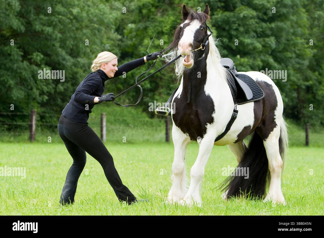 Un Tinker sta tirando. Di conseguenza, il suo cavaliere cade dal cavallo. Serie: 7 di 8. Germania Foto Stock