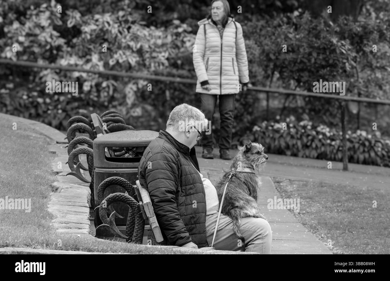 Un anziano condivide un momento tranquillo di parco con il suo fedele cane Border Terrier seduto sulle sue ginocchia. Harrogate, Yorkshire, Regno Unito. Foto Stock