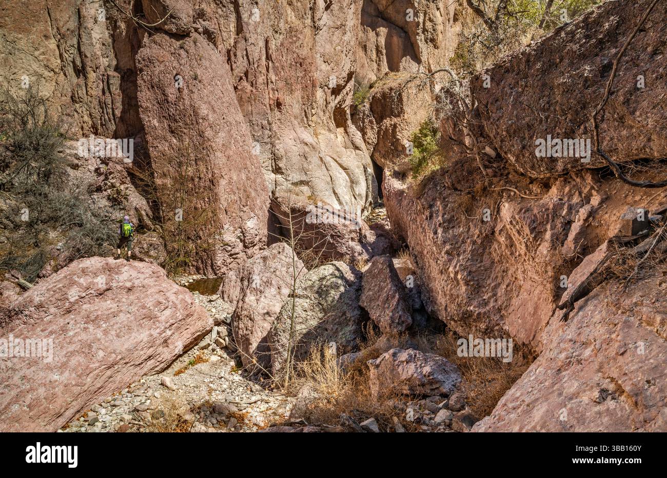 Escursionista che si arrampica sulle rocce di granito rosa all'interno del Whitewater Canyon, il Catwalk National Recreation Trail, Mogollon Mtns, vicino a Glenwood, New Mexico, Stati Uniti Foto Stock