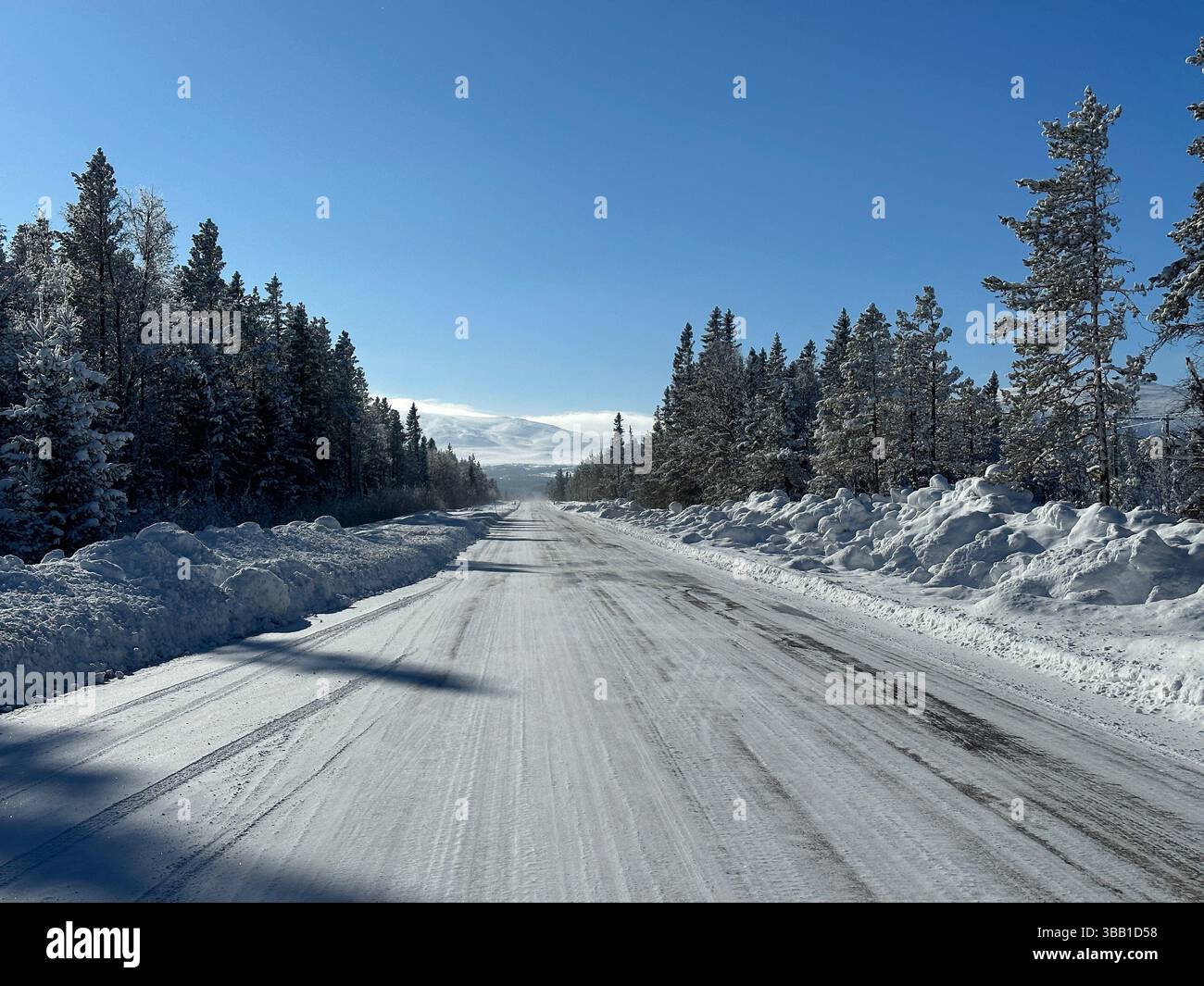Scenario invernale di una strada innevata con alberi ghiacciati sotto un cielo azzurro e luminoso nel nord della Svezia. Foto Stock