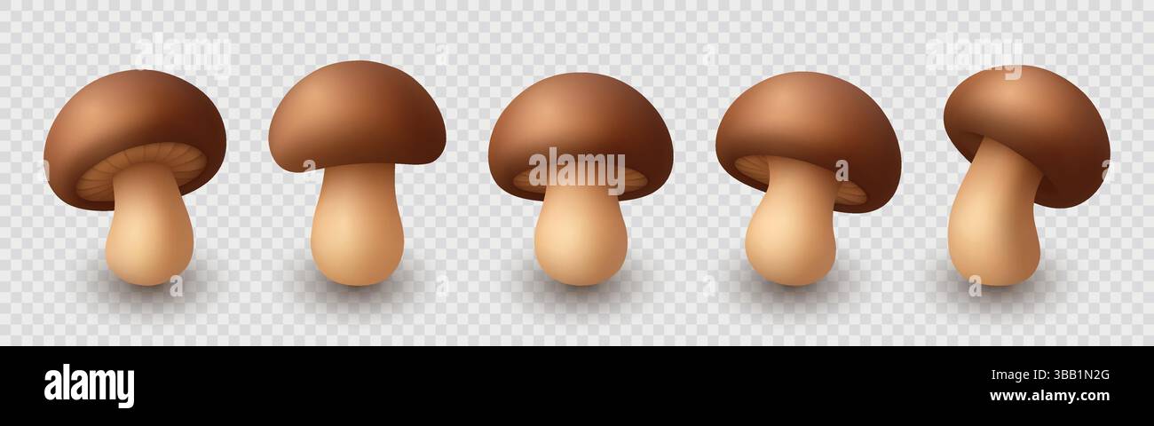 Set di icone a fungo realistico 3D cute Vector. Illustrazioni di funghi cartoni animati primo piano isolato su sfondo bianco. Clipart funghi funghi, modello di progetto Illustrazione Vettoriale