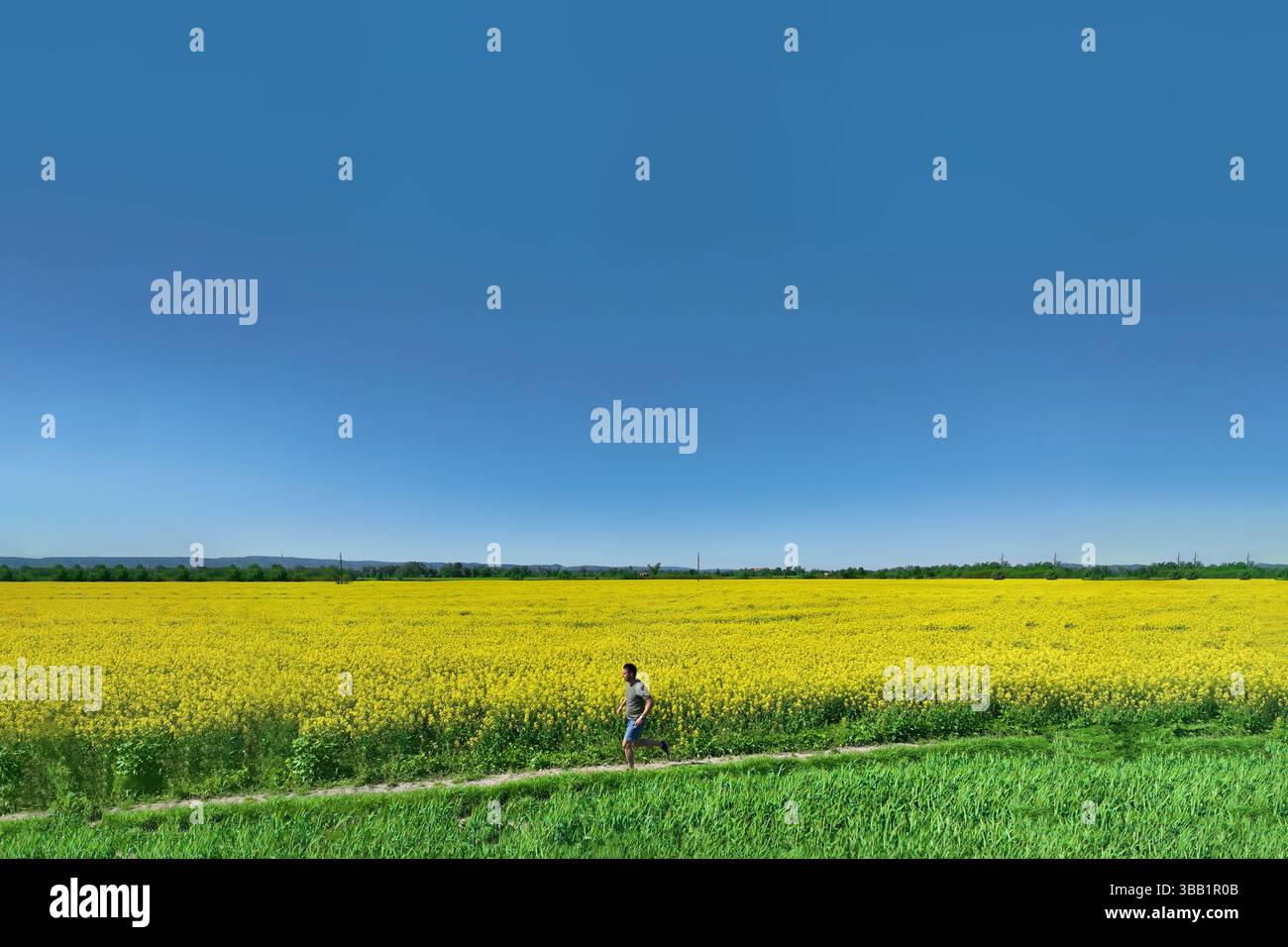 Uomo che fa jogging attraverso un percorso panoramico, catturando vitalità, benessere e benessere mentale Foto Stock