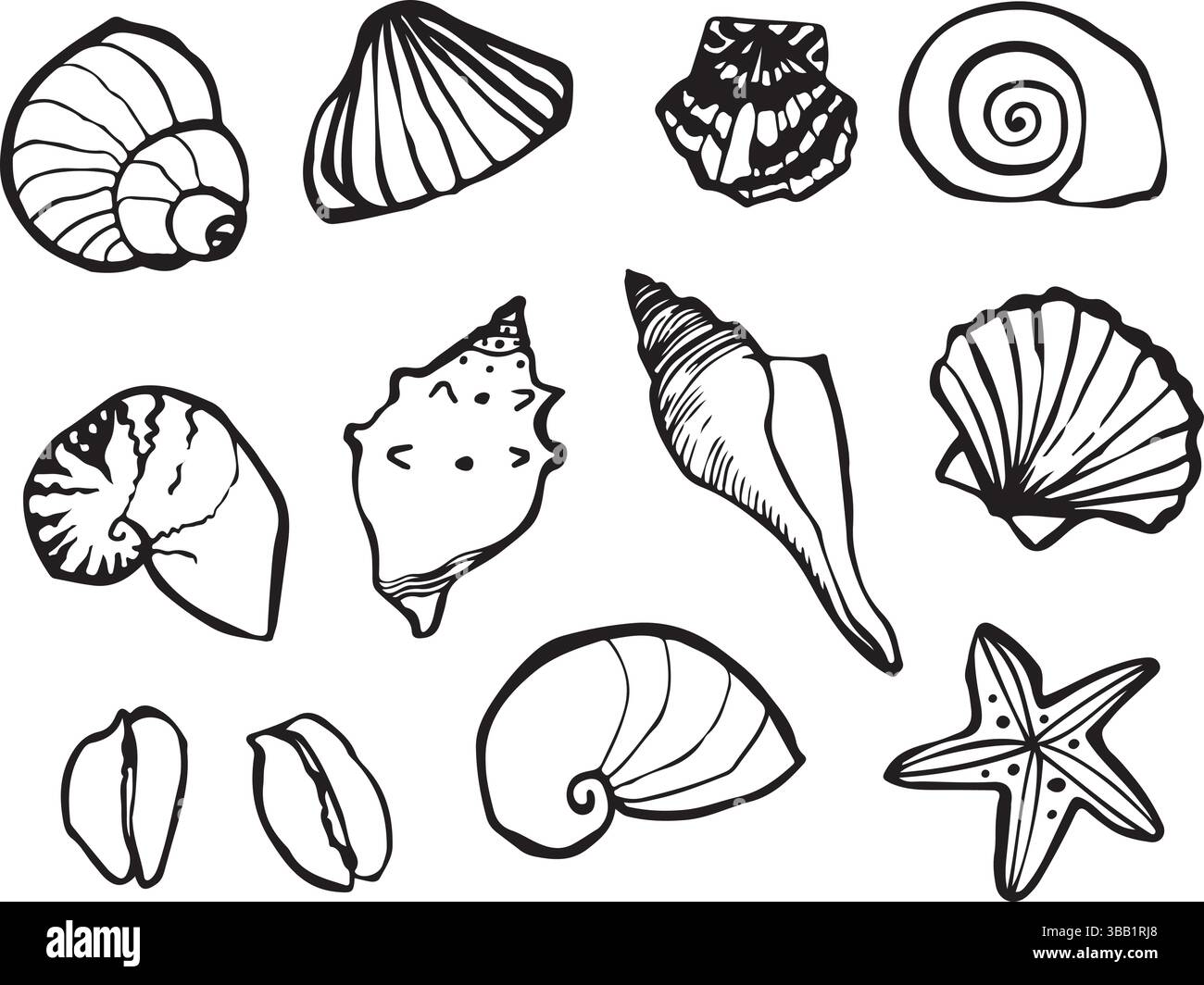 set di scarabocchi vettoriali disegnati a mano con varie conchiglie Illustrazione Vettoriale