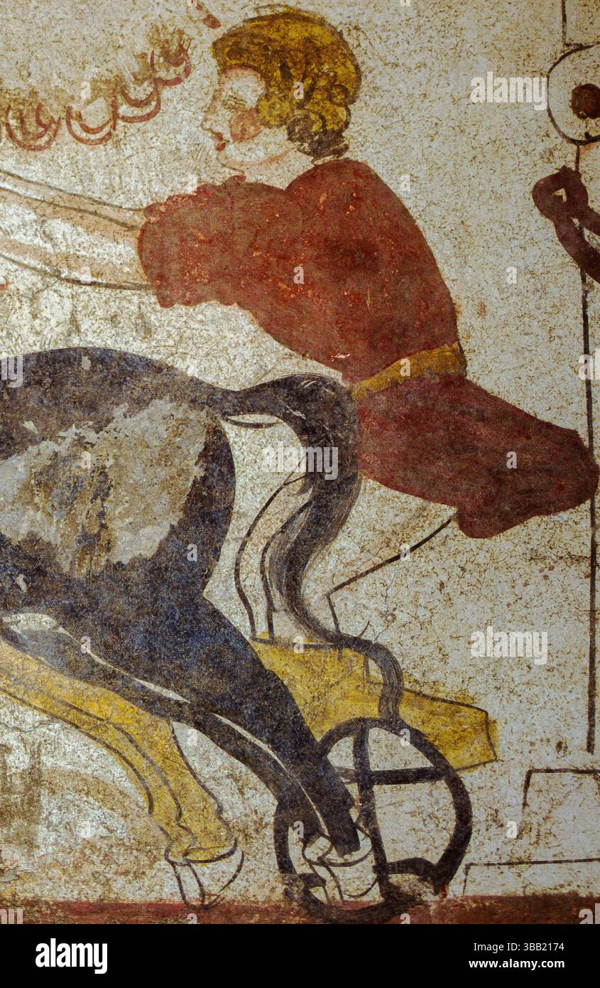 Charioteer con casco dorato e tunica rossa. Dettaglio dell'affresco pre-romano dipinto nel III secolo a.C. all'interno di una tomba lucana in una necropoli dell'antica città di Paistos, ora chiamata Paestum, in Campania. Lastra tombale ora in mostra nel Muzeo Nazionale (Museo Nazionale) a Paestum, accanto ad altri dipinti tombale lucani del III e IV secolo a.C. Foto Stock