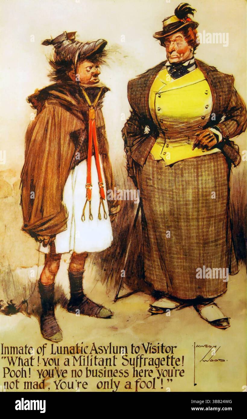 Cartolina anti suffragette Lunatic al visitatore: Cosa! Sei una Suffragette militante! Oh! non hai affari qui non sei arrabbiato, sei solo uno sciocco! 1913 Foto Stock