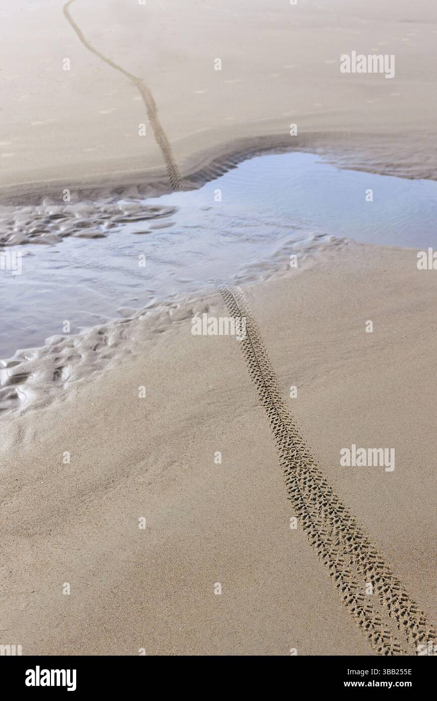 Piste ciclabili attraverso una pozza d'acqua su una spiaggia. Foto Stock