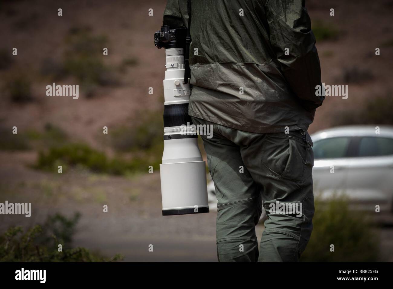 Fotografo di uccelli con fotocamera e teleobiettivo da 600 mm Foto Stock