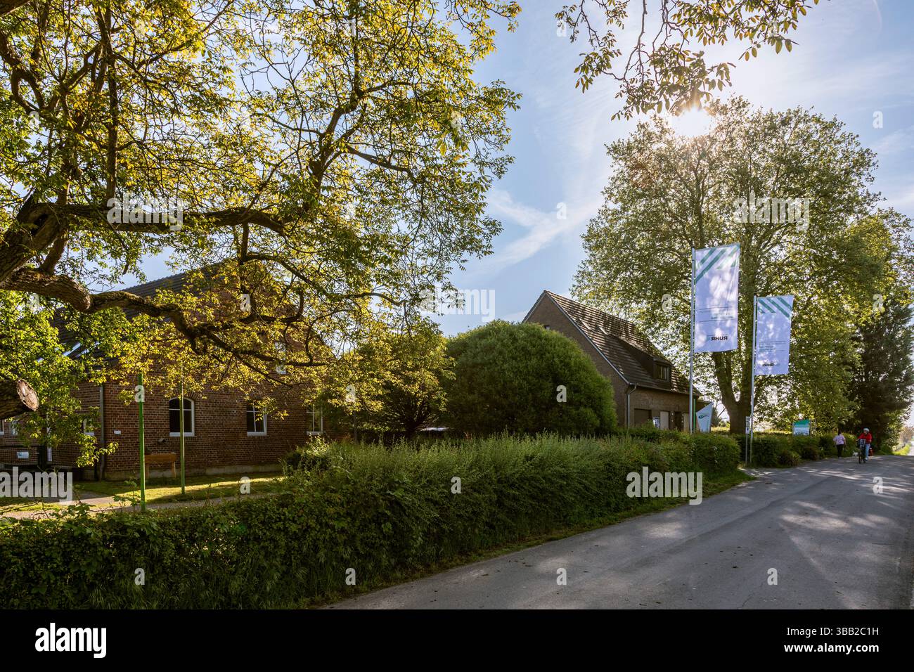Riserva naturale di Bislicher Insel nei pressi di Xanten, RVR Nature Forum Foto Stock