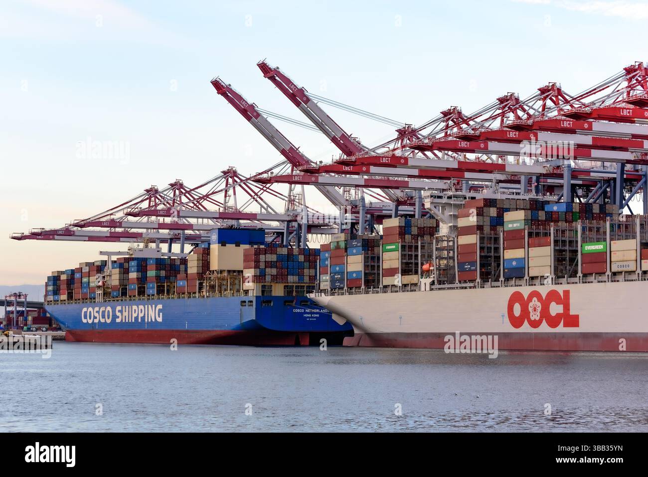 Due grandi navi container, completamente caricate, sono ancorate sotto enormi gru al porto di Long Beach, California. Uno è blu e dice Cosco Shippi Foto Stock