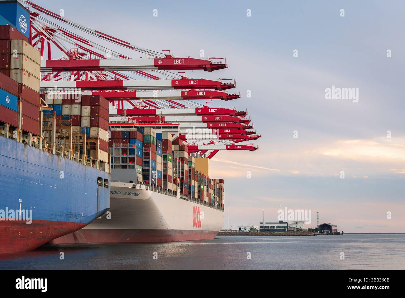 Due grandi navi container, completamente caricate, sono ancorate sotto enormi gru al porto di Long Beach, California. Uno è blu e dice Cosco Shippi Foto Stock