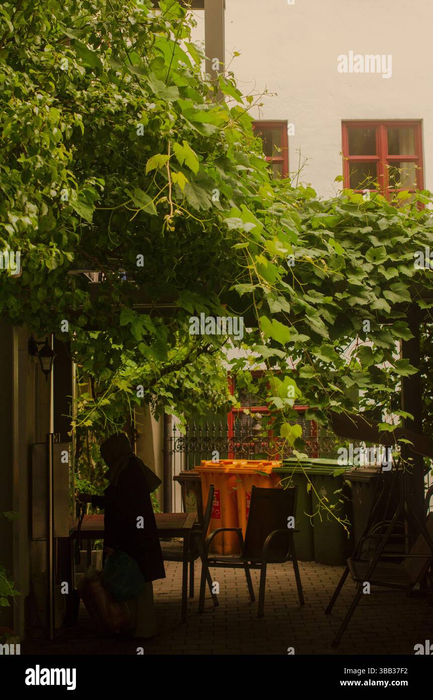 Donna in un cortile urbano con giardino Foto Stock