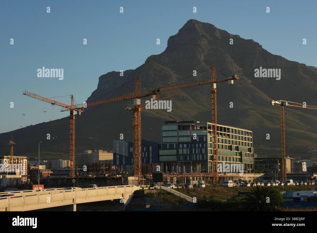 Sito Amazon River Club a città del Capo, Sud Africa Una vista generale della costruzione presso la sede Amazon sul sito River Club a città del Capo, Sud Africa, il 14 maggio 2025. Città del Capo Sudafrica Copyright: XMatrixxImagesx/xNicxBothmax Foto Stock