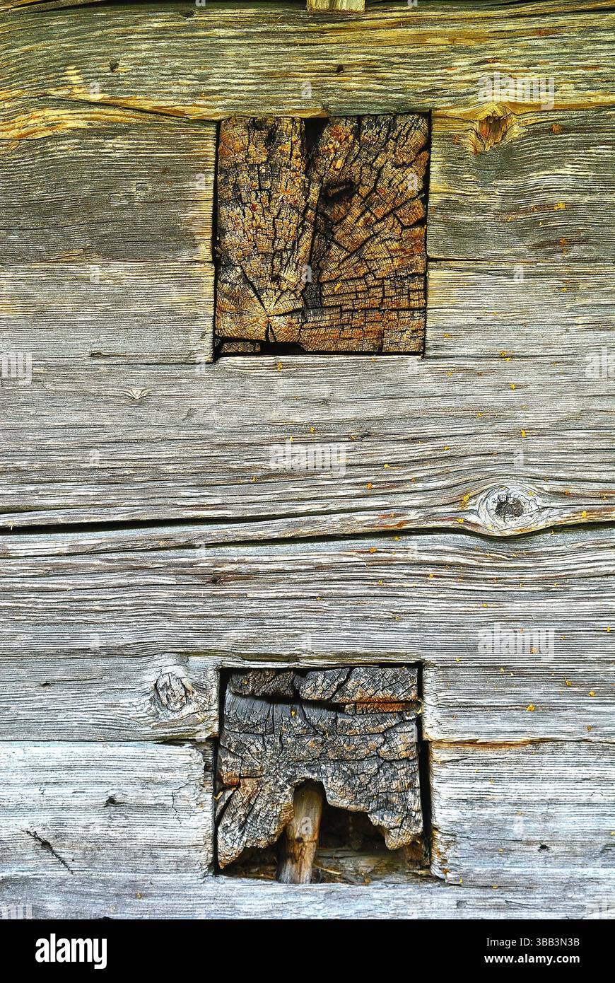 Struttura in legno Foto Stock