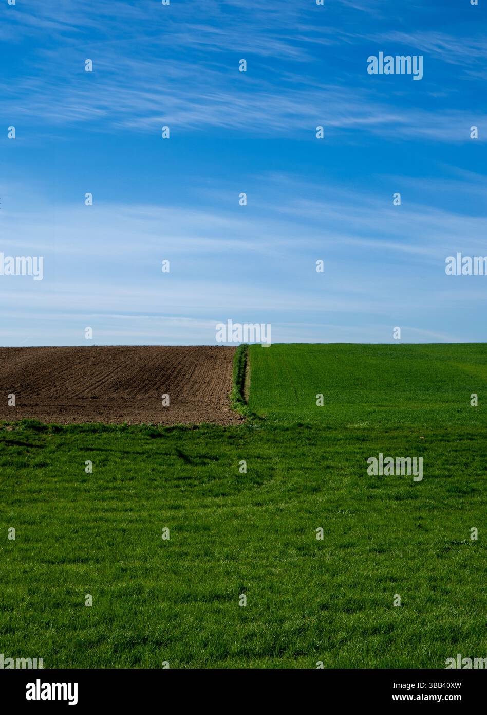 Ampia vista panoramica di un campo verde e di un campo appena arato fianco a fianco sotto un cielo azzurro. Paesaggio rurale di campagna catturato dalla luce del sole primaverile. Foto Stock Ampia vista panoramica di un campo verde e di un campo appena arato fianco a fianco sotto un cielo azzurro. Paesaggio rurale di campagna catturato dalla luce del sole primaverile. Foto Stock