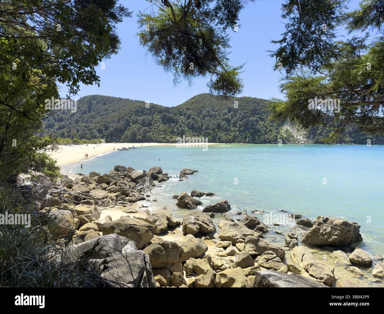 Bark Bay Beach sulla passeggiata costiera da MArahau, Abel Tasman National Park, South Island, nuova Zelanda, Oceania Foto Stock