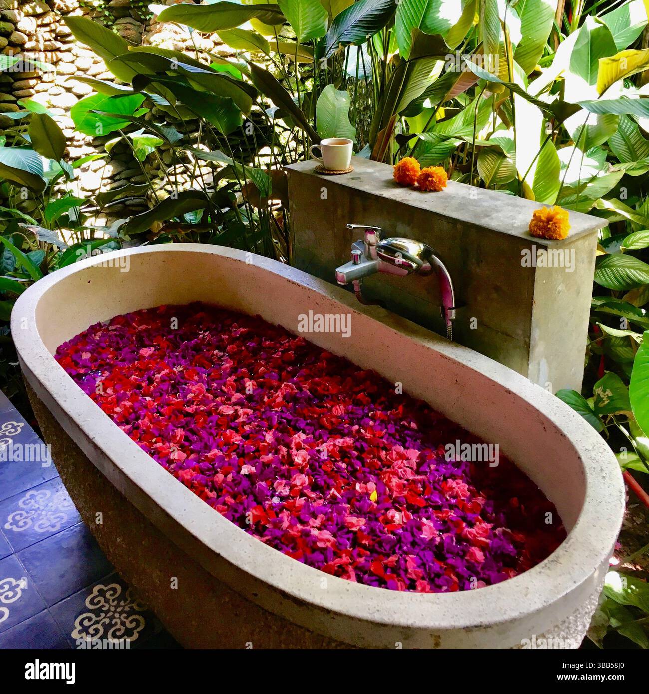 Vasca da bagno esterna in pietra con petali di fiori colorati in un giardino tropicale spa, Ubud, Bali, Indonesia. Foto Stock