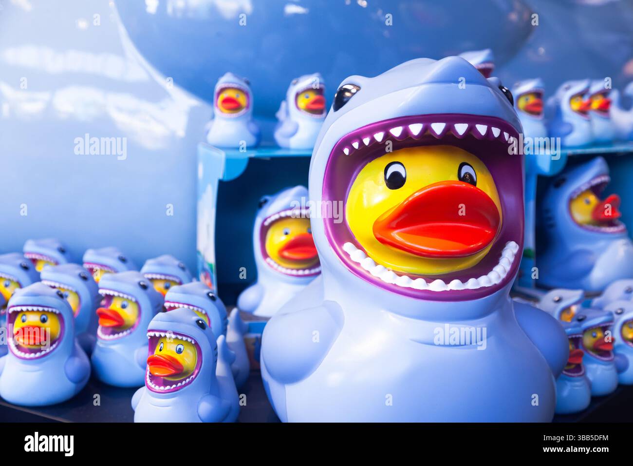 Ci sono molte anatre di gomma ricordo sullo scaffale. Foto Stock