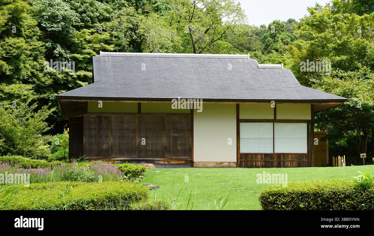 Piante estive e paesaggi di campagna: Natura lussureggiante e fascino rurale Foto Stock